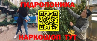 СК Краснодар