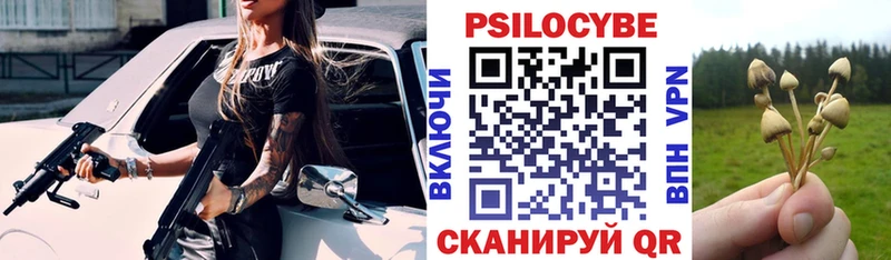 Псилоцибиновые грибы Cubensis Майкоп