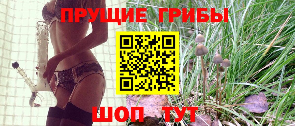 Майкоп  Псилоцибиновые грибы мицелий  Псилоцибиновые грибы Magic Shrooms  Вход с VPN 