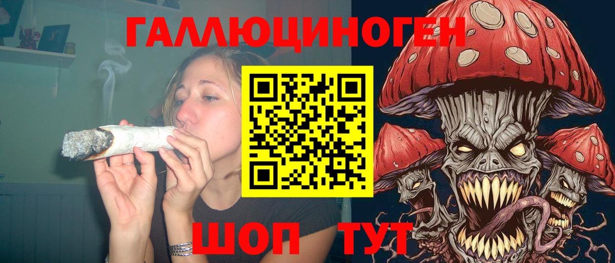 Галлюциногенные грибы Cubensis Майкоп