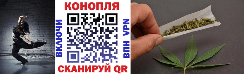 купить наркотики цена  Майкоп  Каннабис тримм 